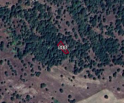 BURSA ORHANELİ TEPECİK MAH.420M²  BAĞ SATILIKTIR - BURSA ORHANELİ fotoğraf 2